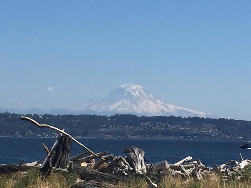 Mount Rainier (aka, The Mountain) can be seen from lots of vistas in West Seattle.