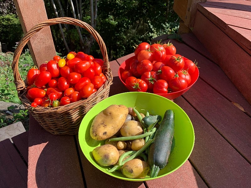 Summer bounty!