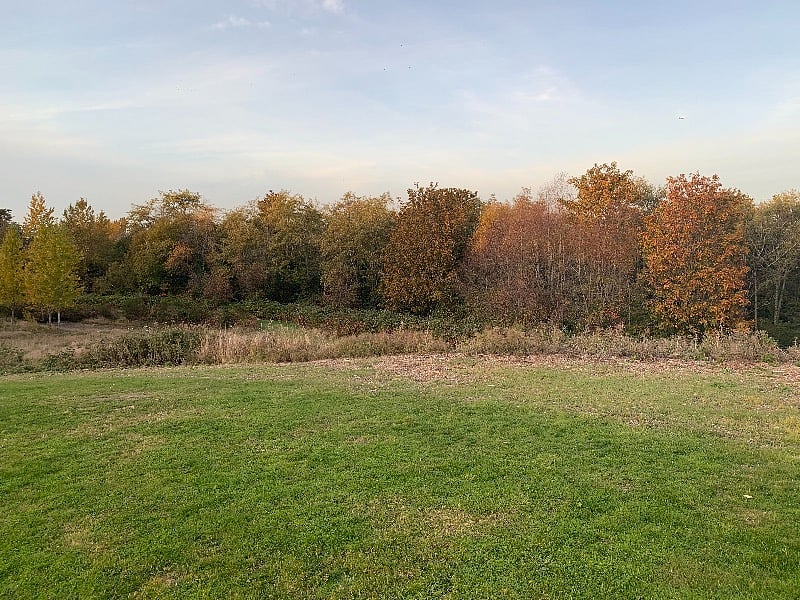 Forest, fields or both! Your choice.