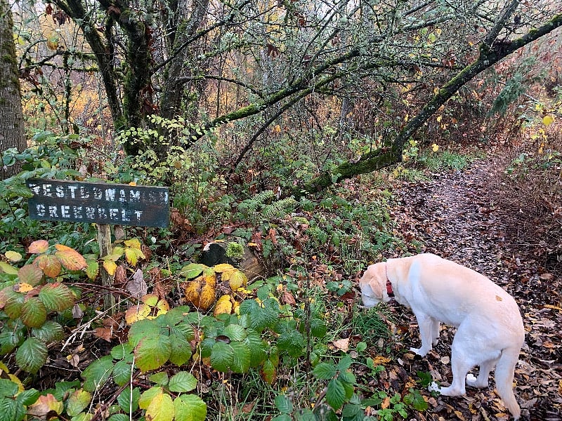 Entrance to the Duwamish Greenbelt is just one block away.