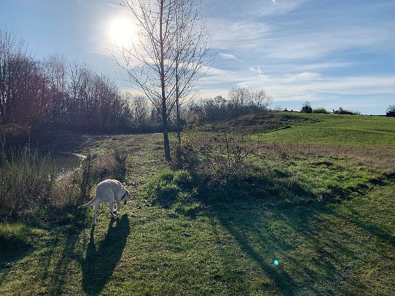 Heading into Spring.