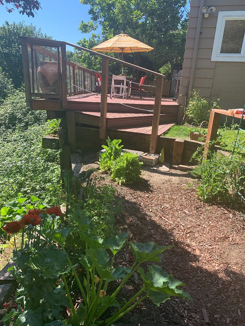 Veggie garden sits right off your deck.