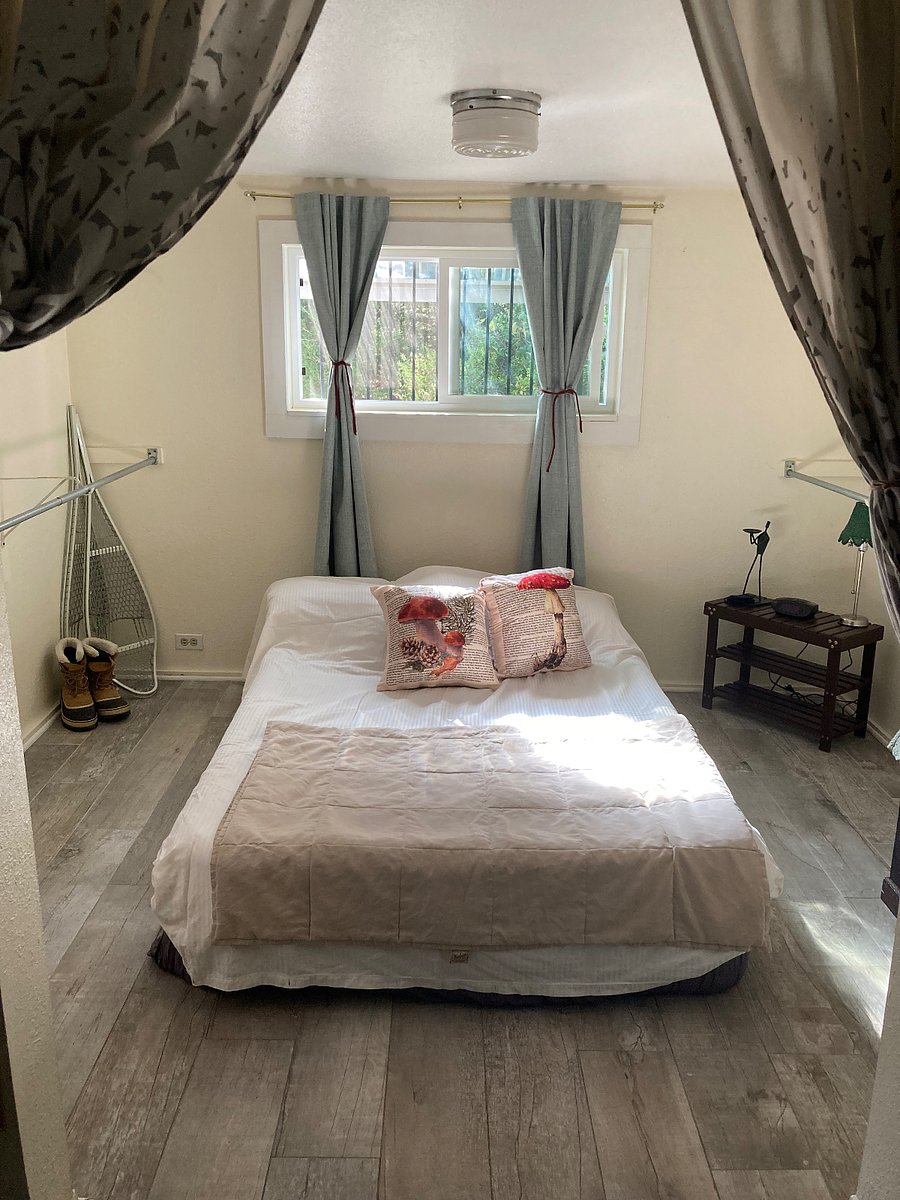 Furnished Finder property 239876_1 photo 15