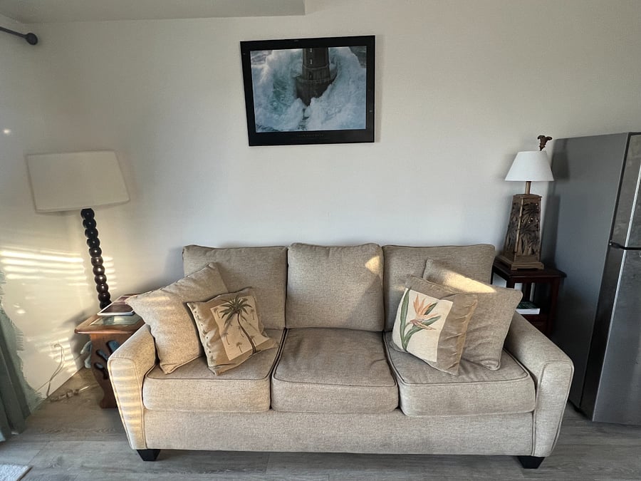 Queen bed pull out sofa