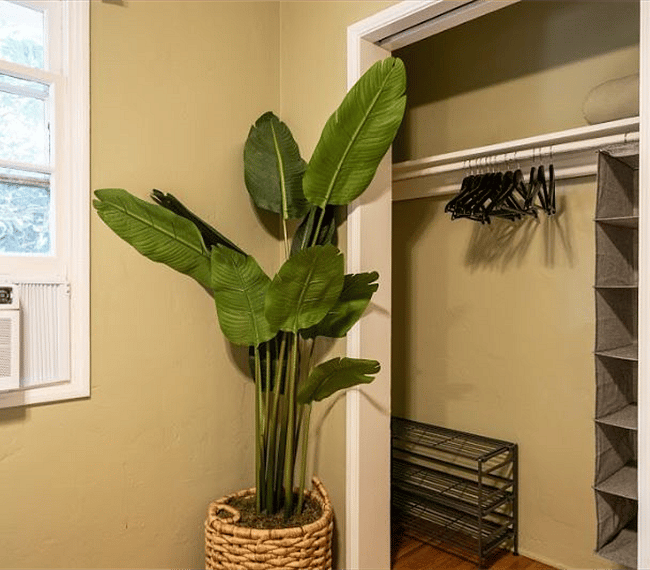 Furnished Finder property 239970_1 photo 13