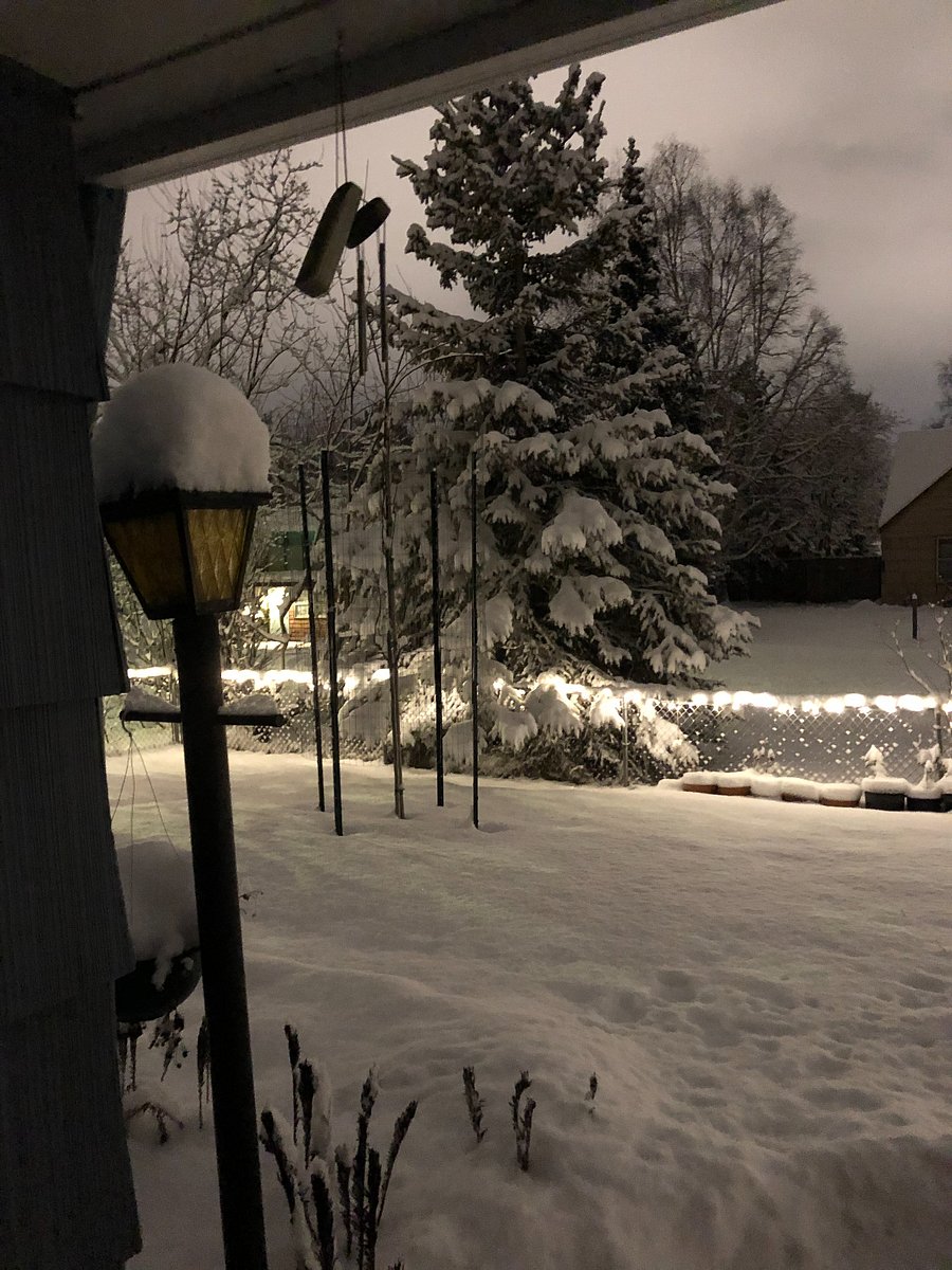 Winter wonderland! View from the front door.