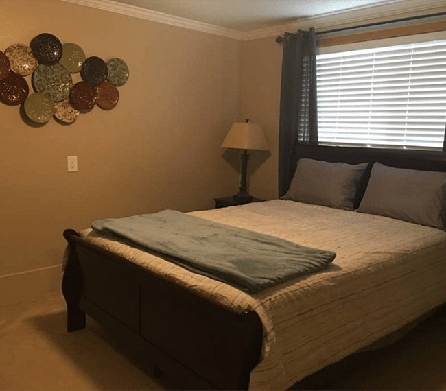 Furnished Finder property 240758_1 photo 16