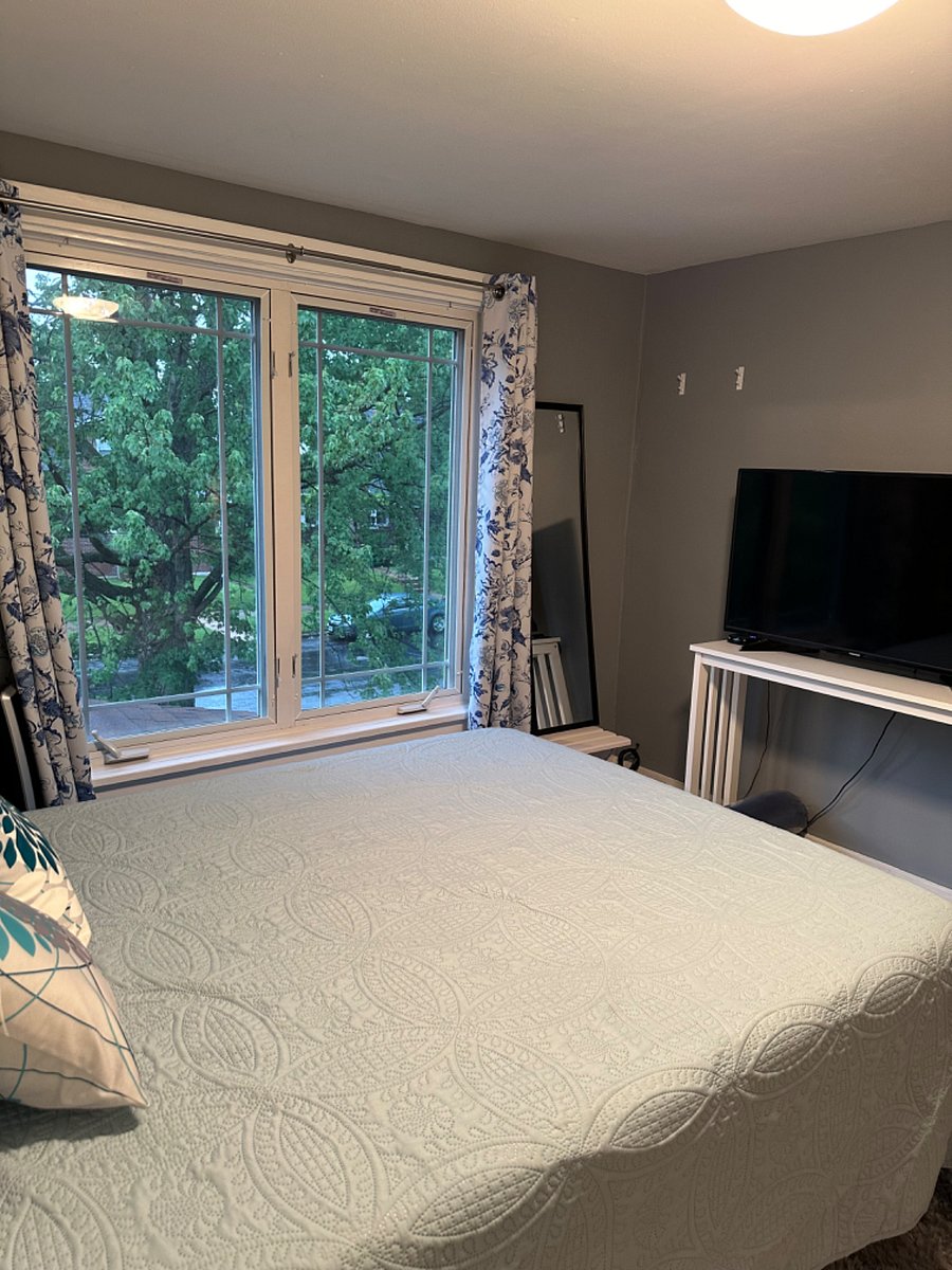 Furnished Finder property 240796_1 photo 13