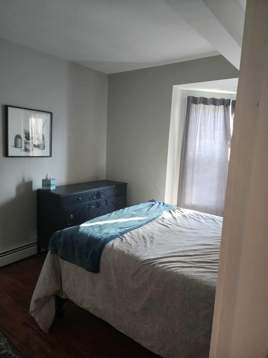 Furnished Finder property 241400_2 photo 9