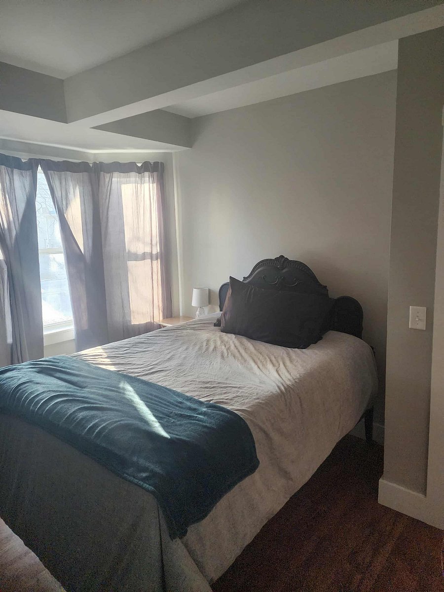 Furnished Finder property 241400_2 photo 10