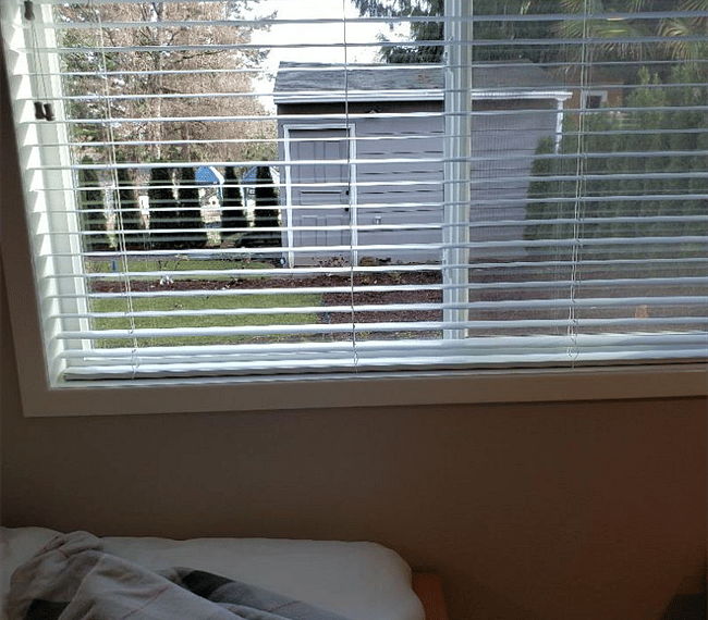 Furnished Finder property 241855_1 photo 17