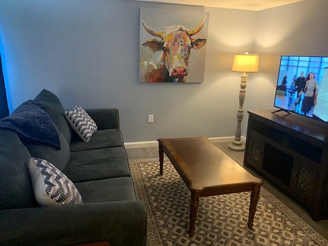 Furnished Finder property 241872_3 photo 13