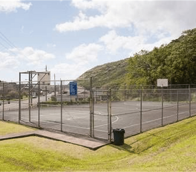 Basketball court at neighborhood park.