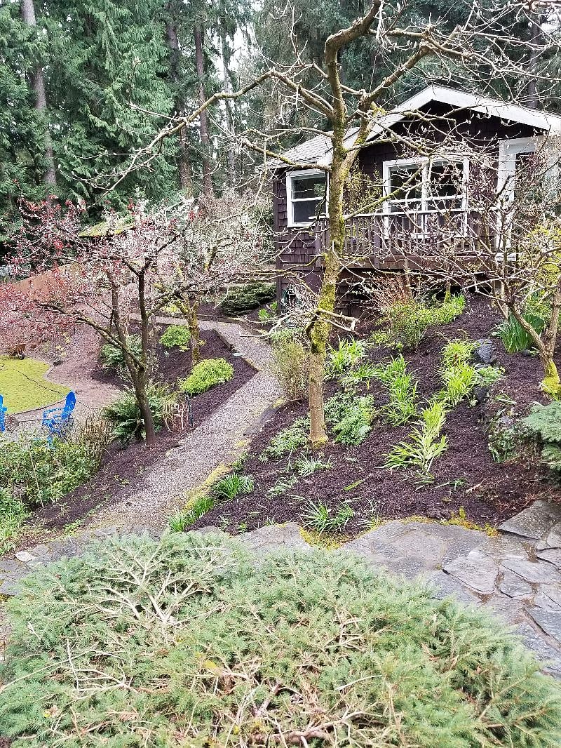 Yard in early spring.