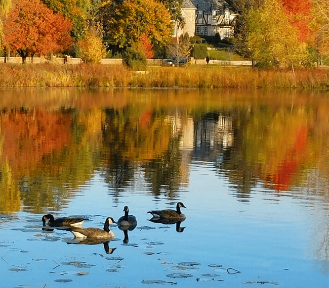 A gorgeous fall stroll around Lake of the Isles.