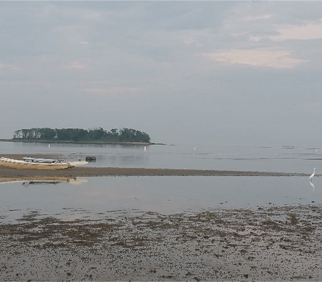 Sea Drift Beach walk Charles Island in the distance