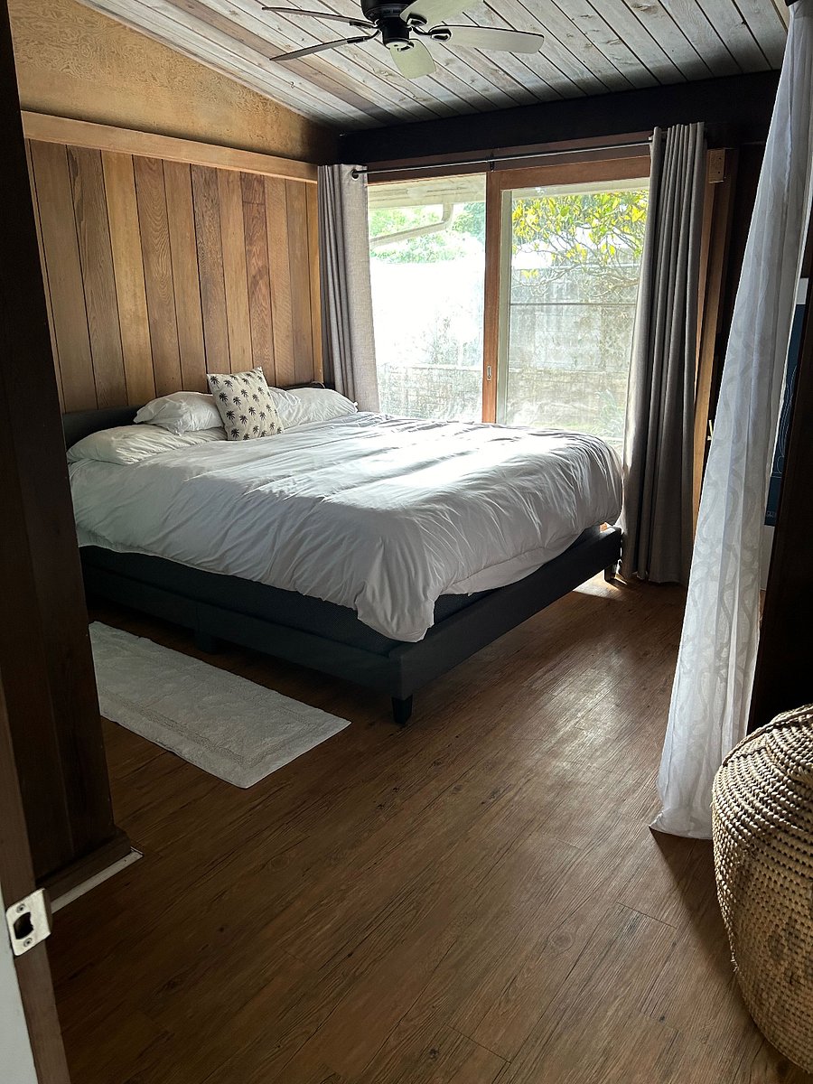 Furnished Finder property 242034_1 photo 14