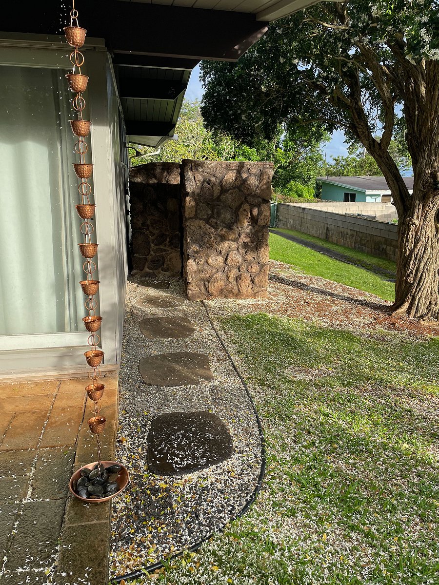 Furnished Finder property 242034_1 photo 23