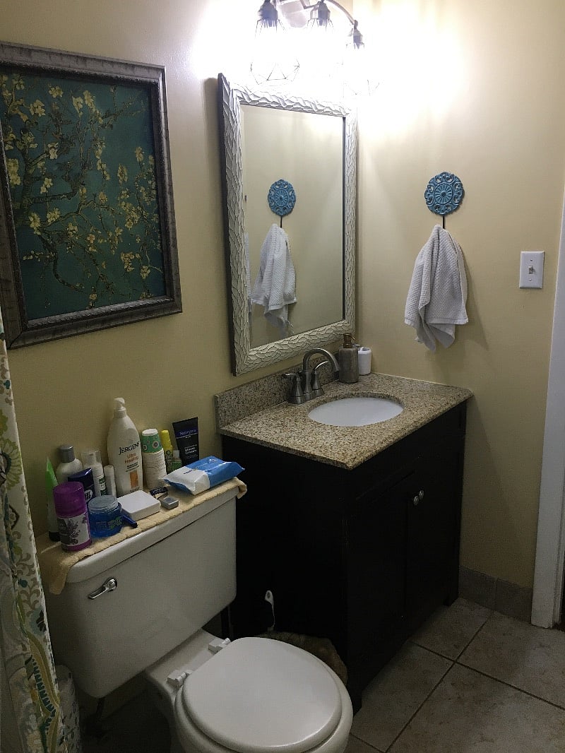 Furnished Finder property 242059_1 photo 12