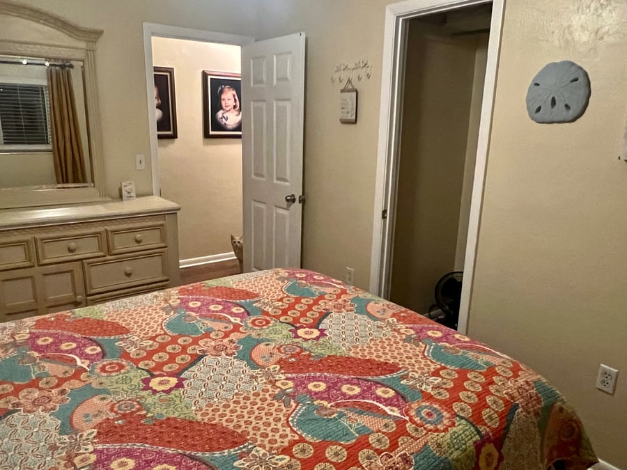 Furnished Finder property 242059_1 photo 4