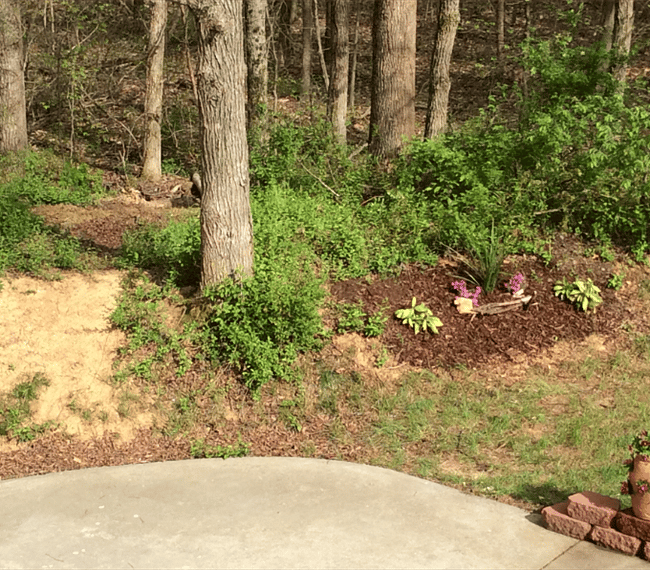 Dedicated parking spot on driveway of large patio area with full view of forest scenery