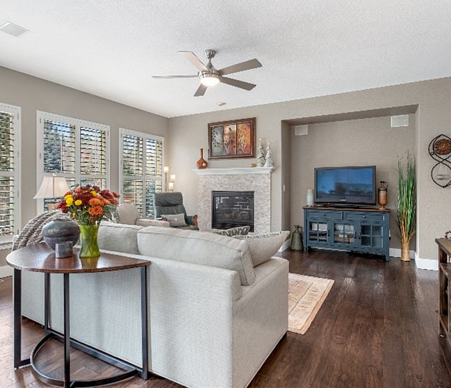 Family Room with Fireplace