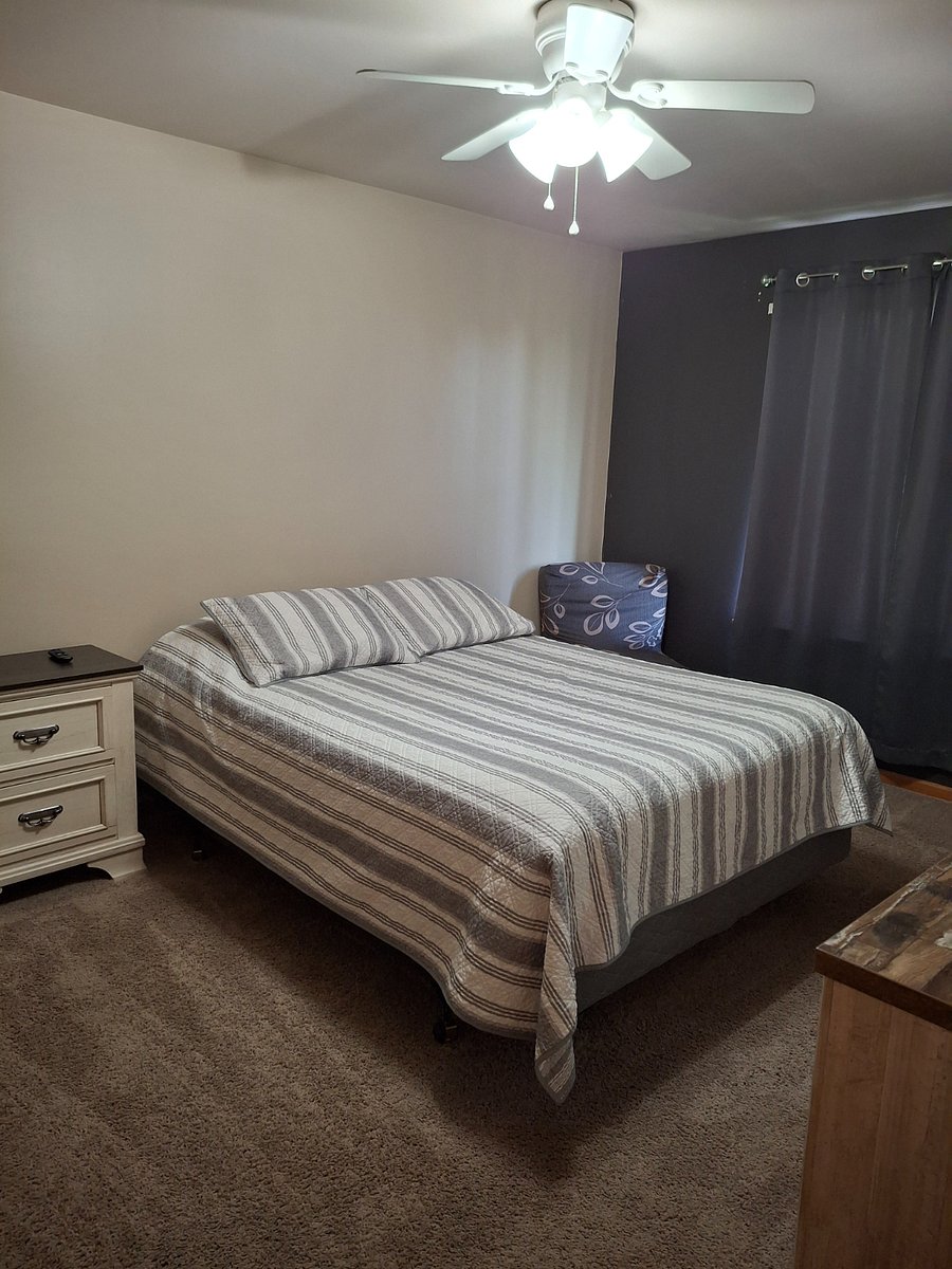 Furnished Finder property 242431_1 photo 11