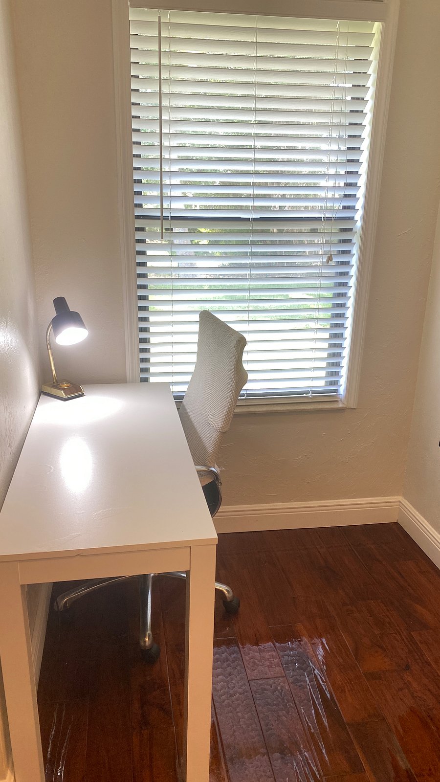 Furnished Finder property 242470_1 photo 15