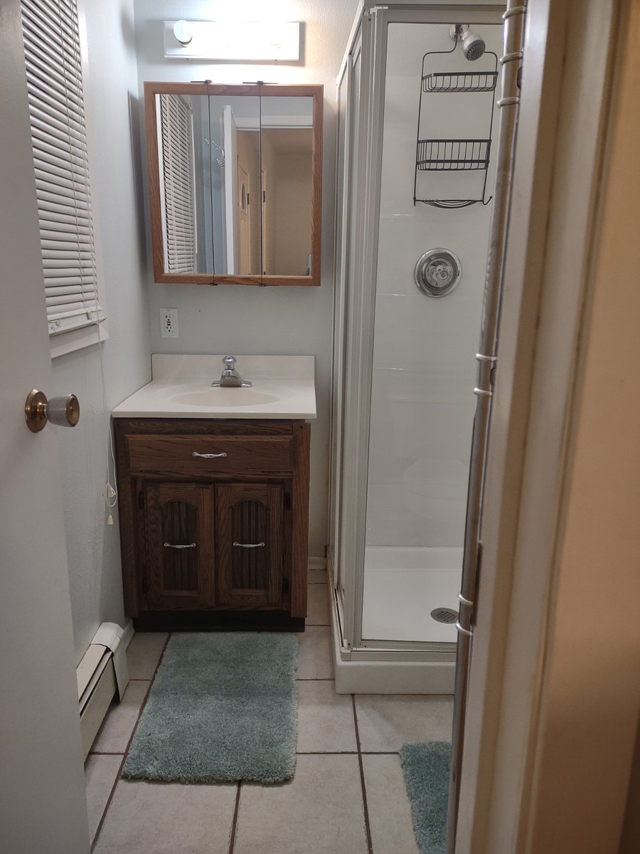 Furnished Finder property 243141_1 photo 8
