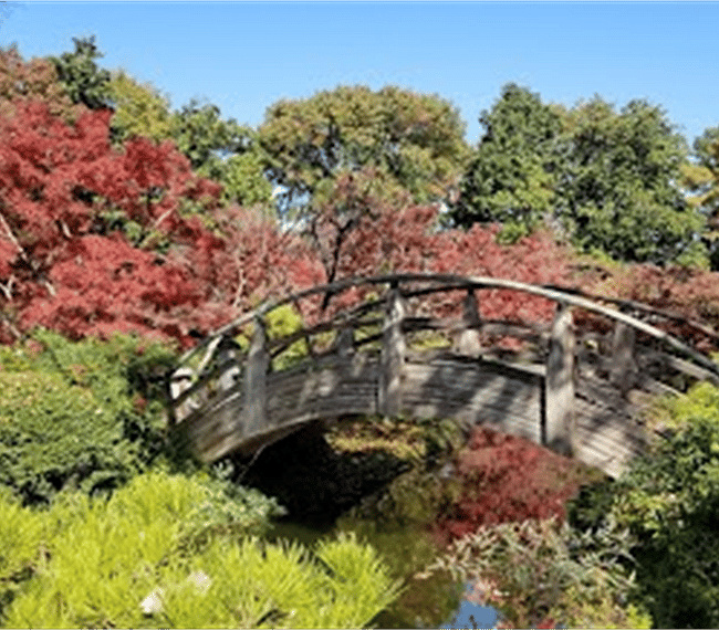 Fort Worth Japanese Gardens...a relaxing retreat.