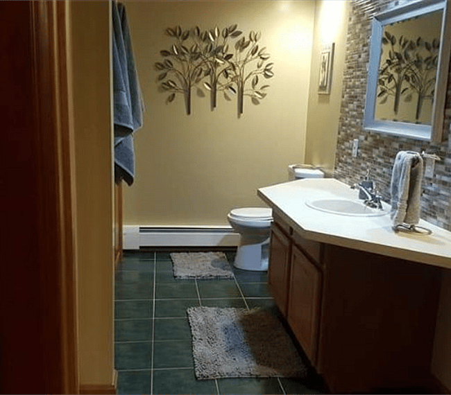Furnished Finder property 243511_1 photo 6