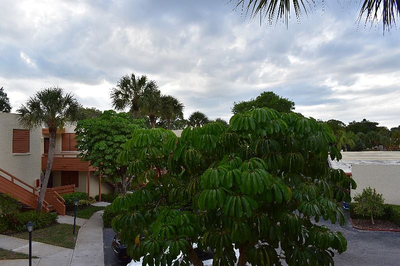Furnished Finder property 243529_1 photo 31
