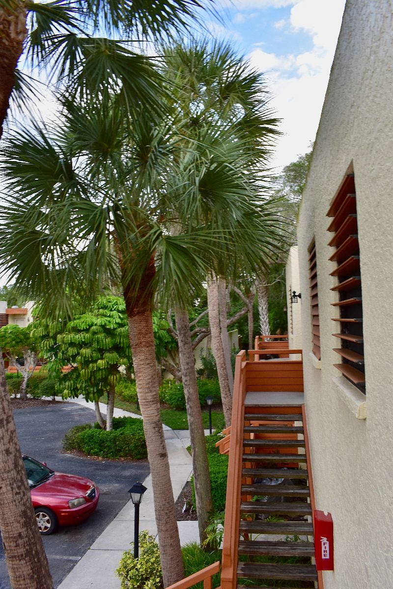 Furnished Finder property 243529_1 photo 30