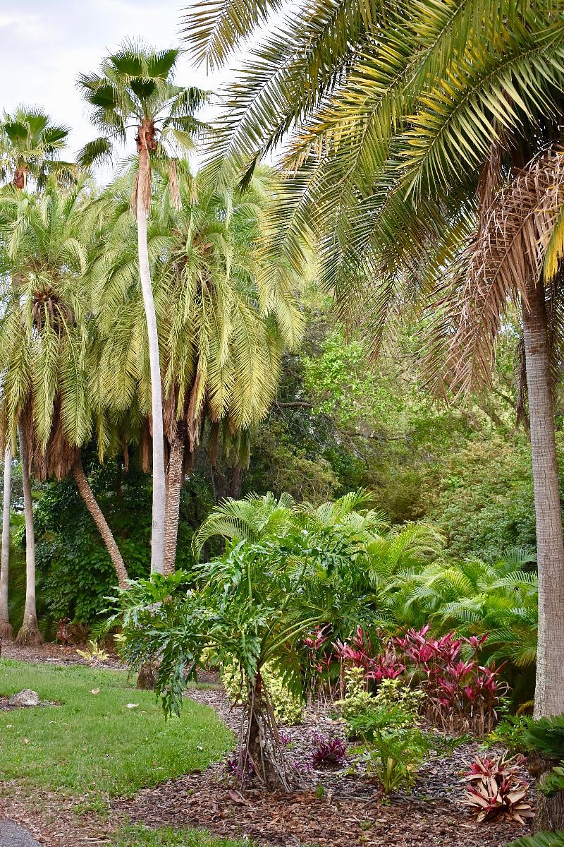 Furnished Finder property 243529_1 photo 37