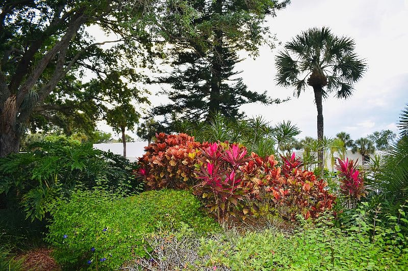 Furnished Finder property 243529_1 photo 42