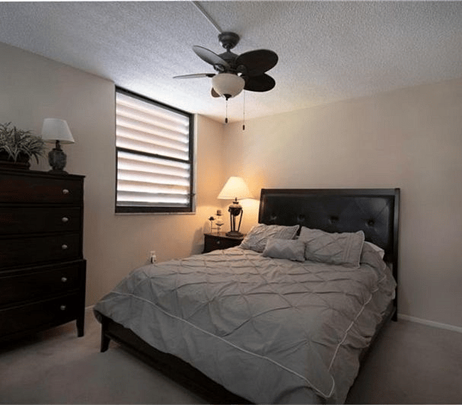 Furnished Finder property 243529_1 photo 26