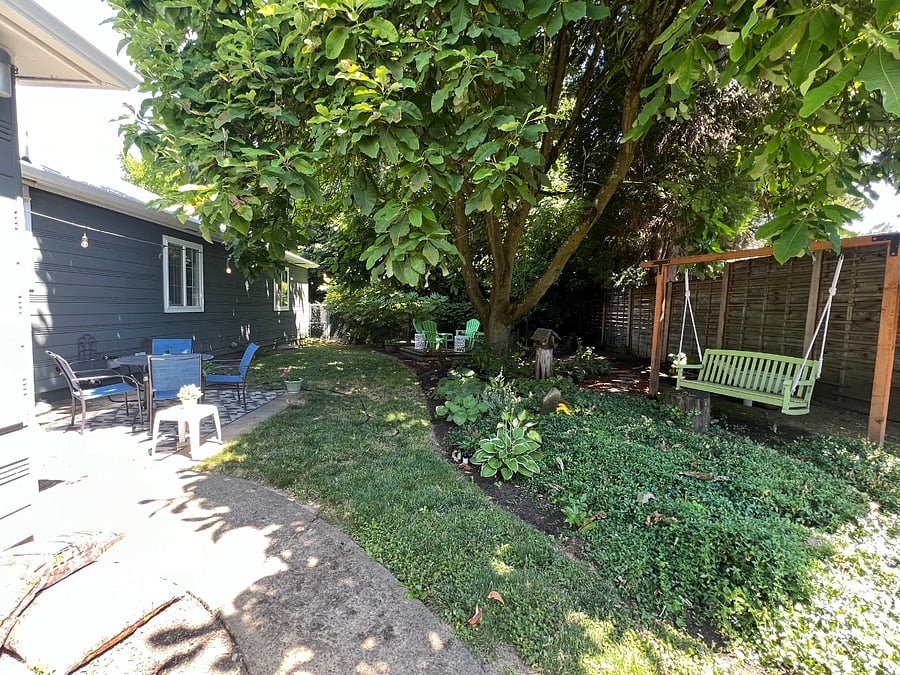 Lush backyard with Magnolia for shade and swing for relaxing