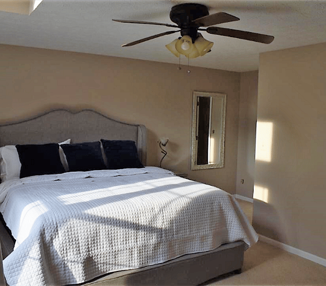 Furnished Finder property 243733_1 photo 10