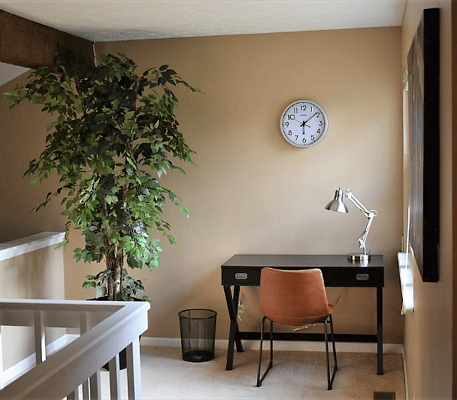 Furnished Finder property 243733_1 photo 11