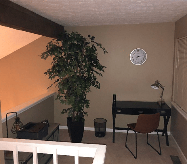 Furnished Finder property 243733_1 photo 24