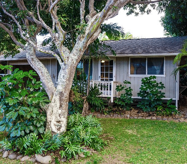 Furnished Finder property 243827_1 photo 17