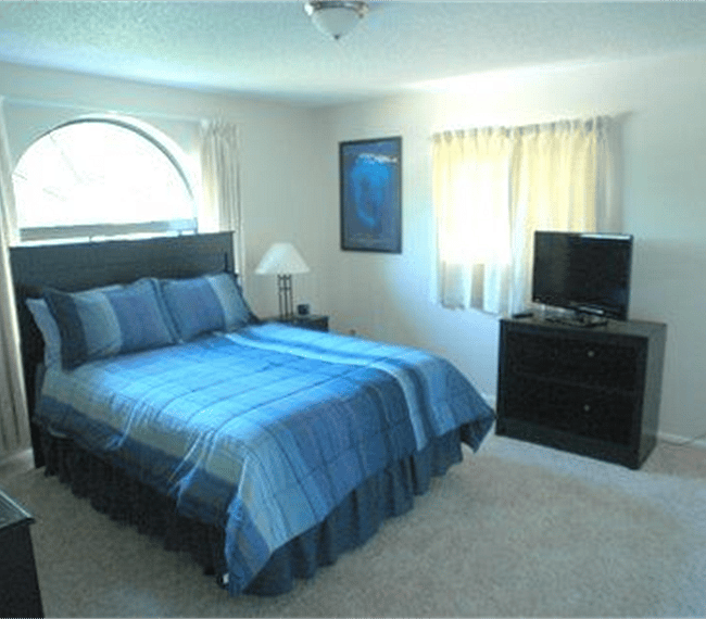Furnished Finder property 243927_1 photo 6