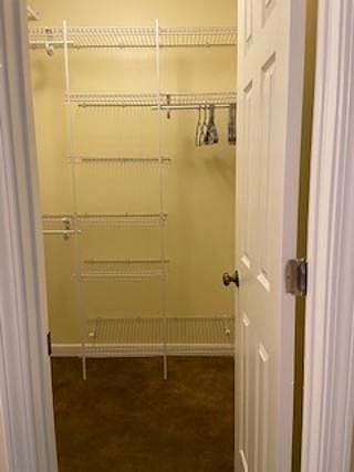 Furnished Finder property 244032_1 photo 16