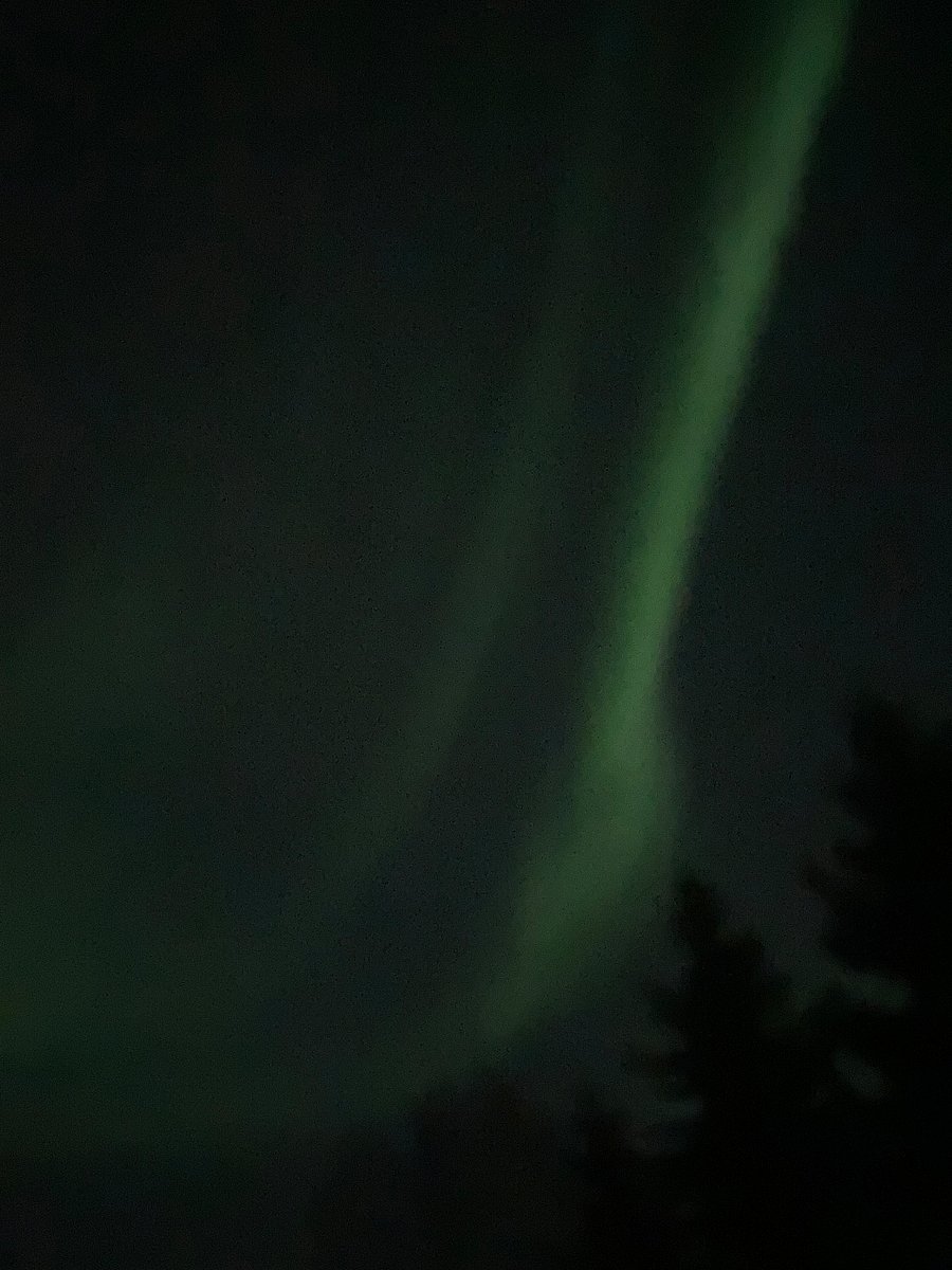 Northern Lights from back deck
