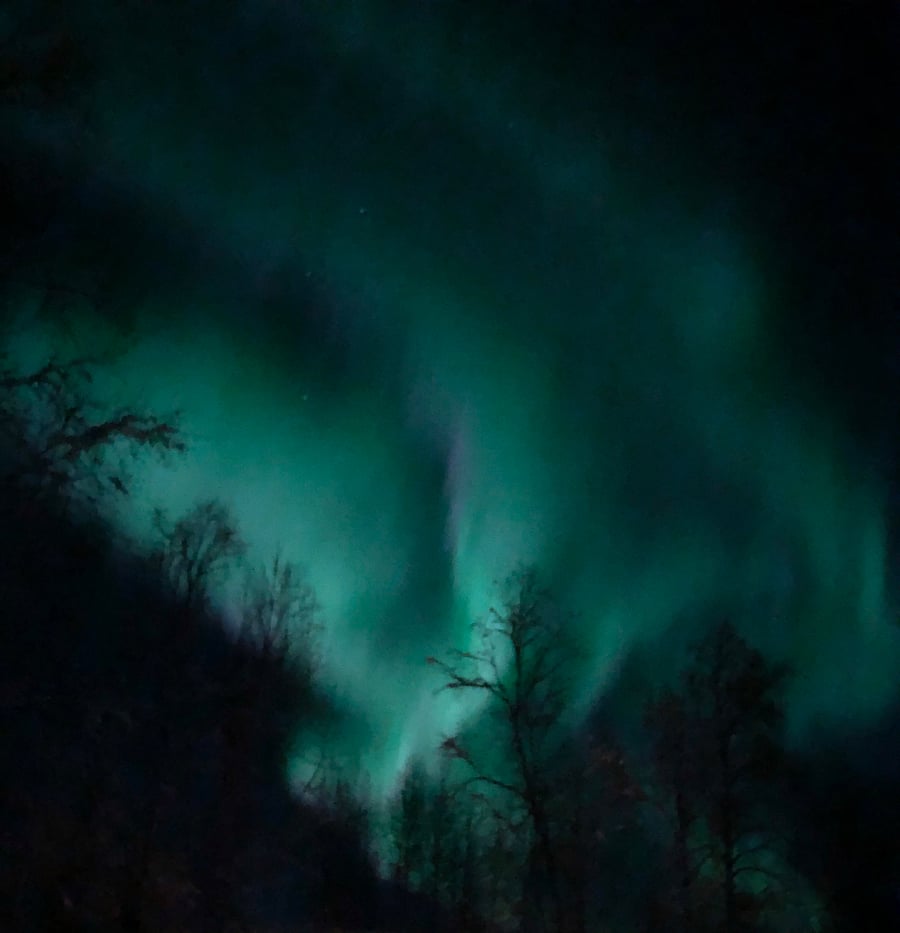 Northern Lights from back deck