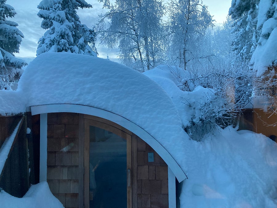 Electric sauna on back deck