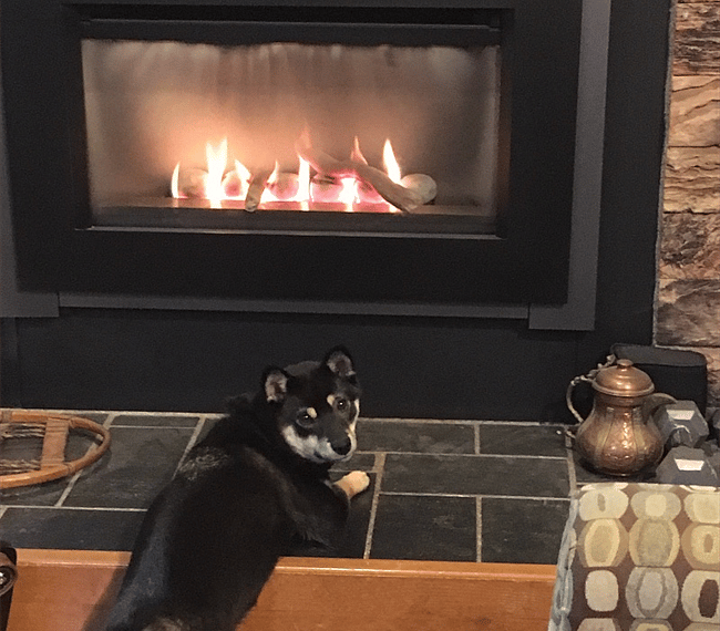 Gas fireplace warms the house on chilly mornings!