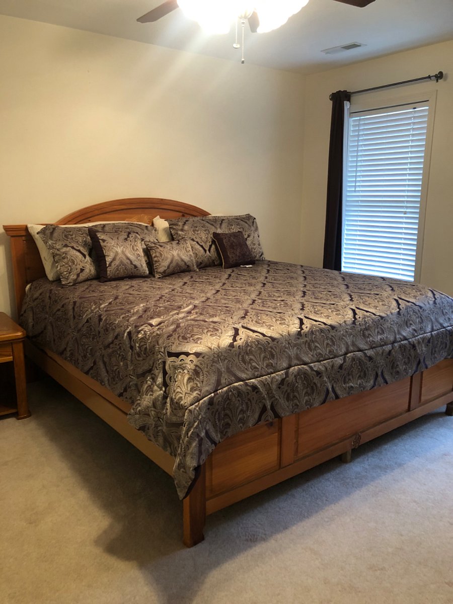 Furnished Finder property 244220_1 photo 23
