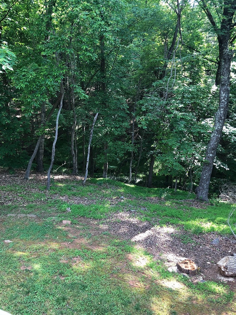 Furnished Finder property 244220_1 photo 16