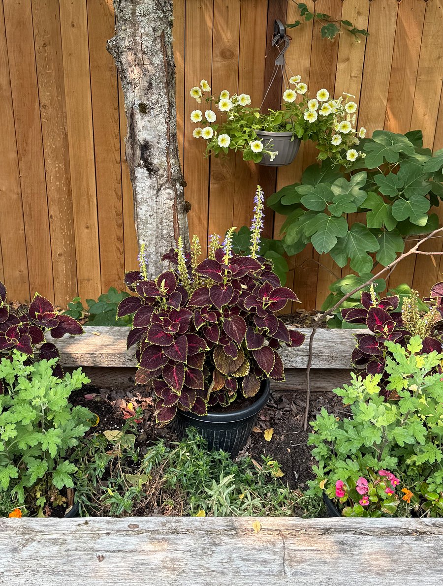 Beautiful garden to enjoy...